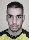 Ivan Vlade Budimir